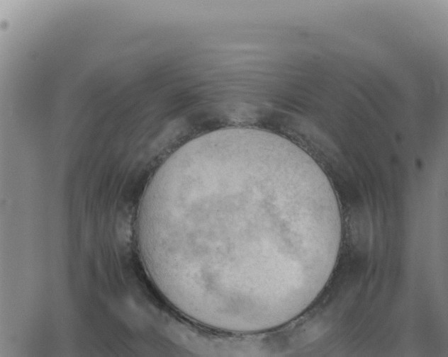 X0000062870032200601201805