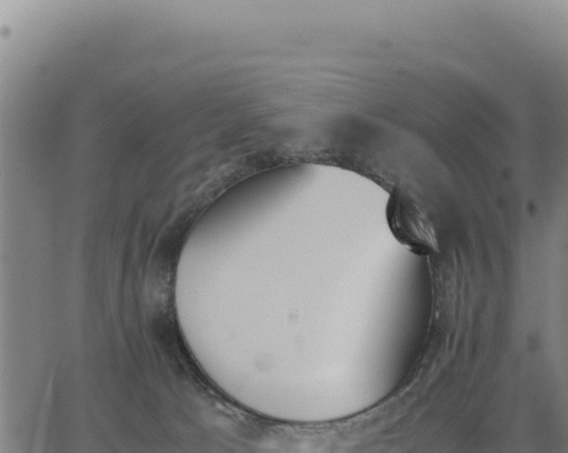 X0000062870033200601201805