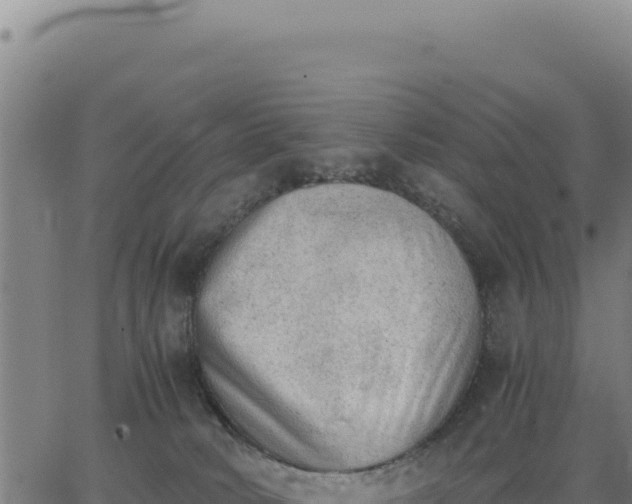 X0000062870034200601201805