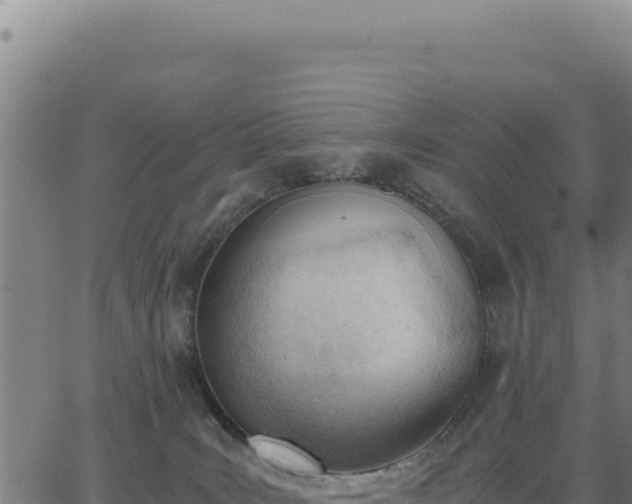 X0000062870035200601201805