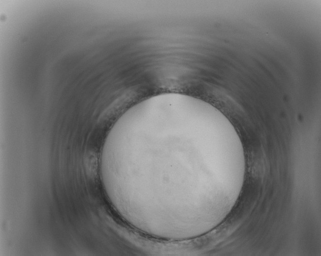 X0000062870036200601201805