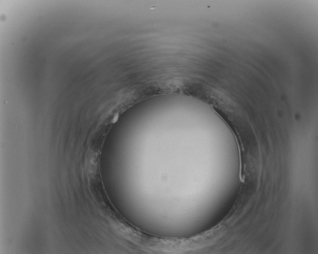 X0000062870037200601201805