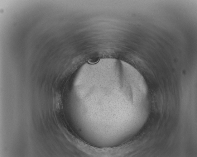 X0000062870038200601201805