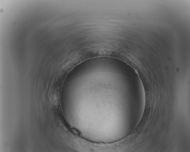 X0000062870039200601201805