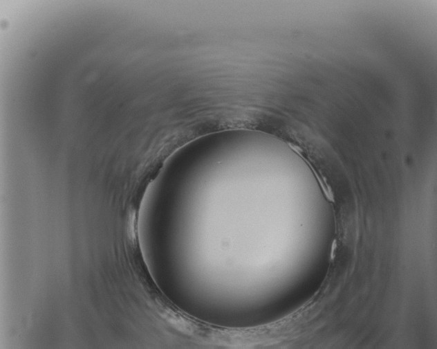 X0000062870041200601201805