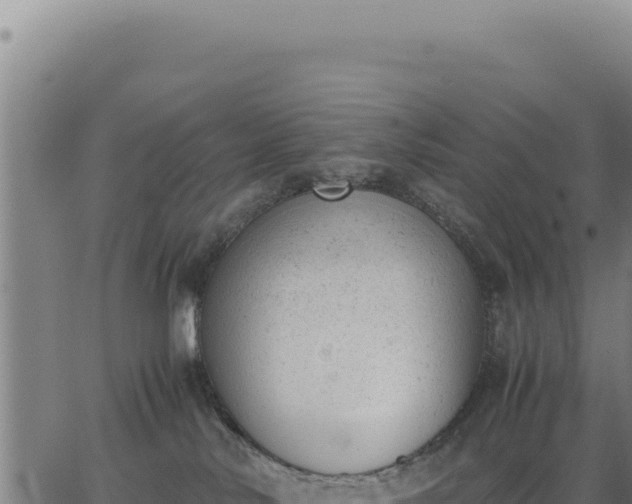 X0000062870042200601201805