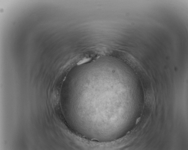 X0000062870043200601201805