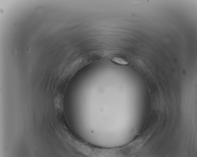 X0000062870044200601201805