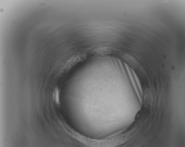 X0000062870046200601201805