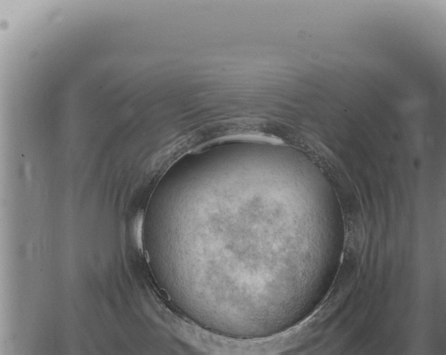 X0000062870047200601201805