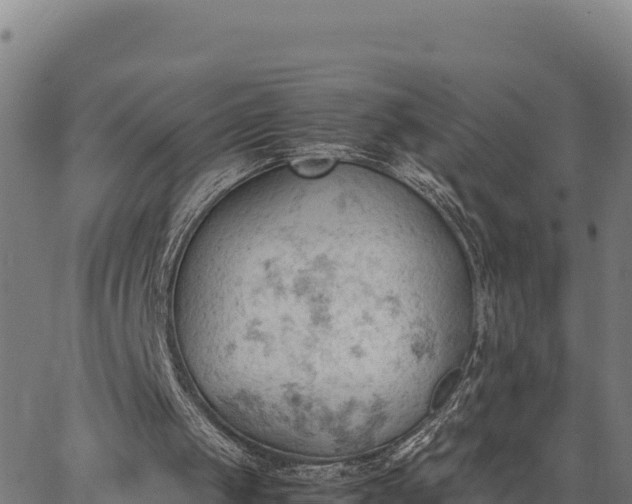 X0000062870049200601201804