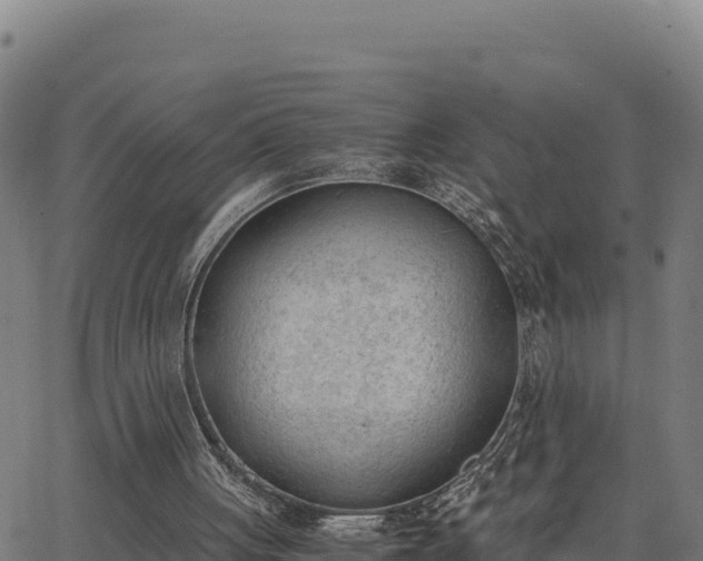 X0000062870051200601201804