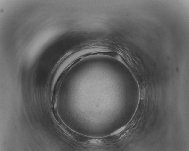 X0000062870052200601201804