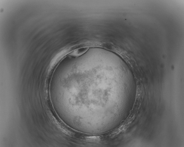 X0000062870053200601201804