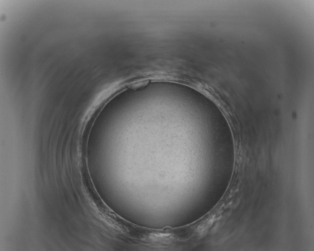 X0000062870055200601201804