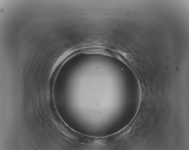 X0000062870056200601201804