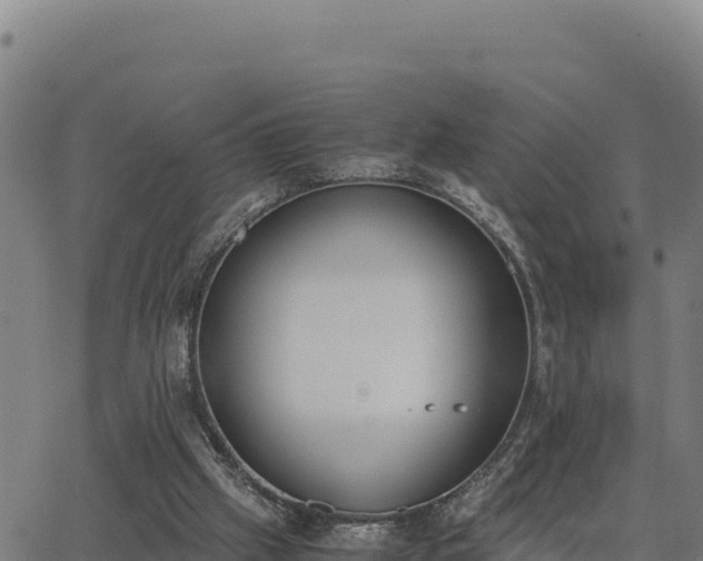 X0000062870057200601201805