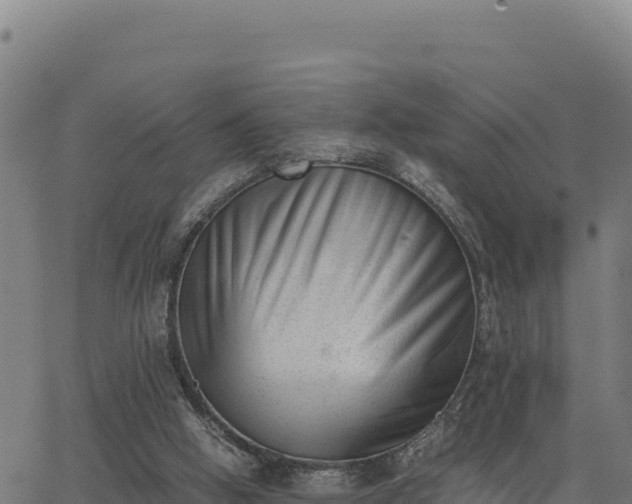 X0000062870058200601201805