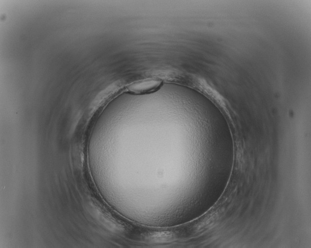 X0000062870059200601201805