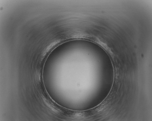 X0000062870060200601201805