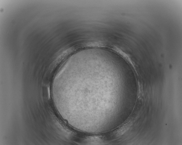 X0000062870061200601201805