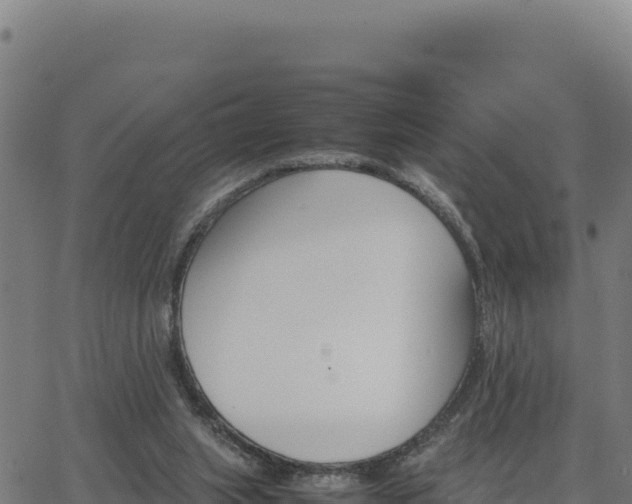 X0000062870063200601201805