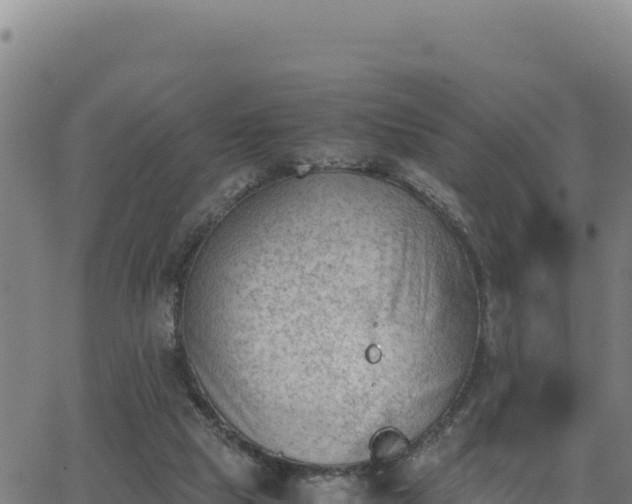 X0000062870065200601201805