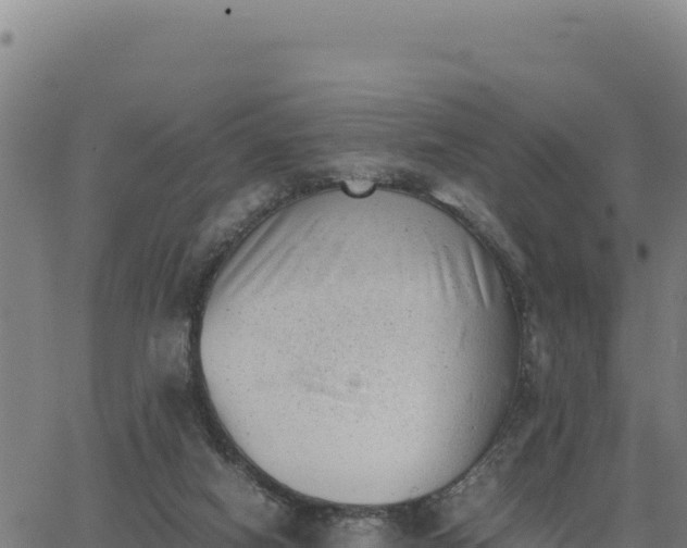 X0000062870066200601201805