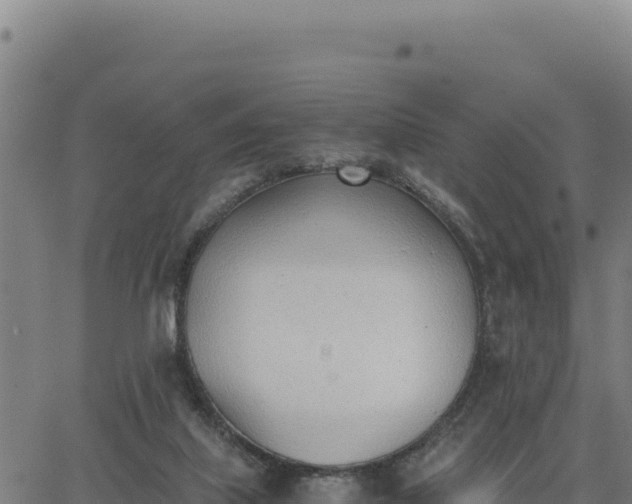 X0000062870067200601201805