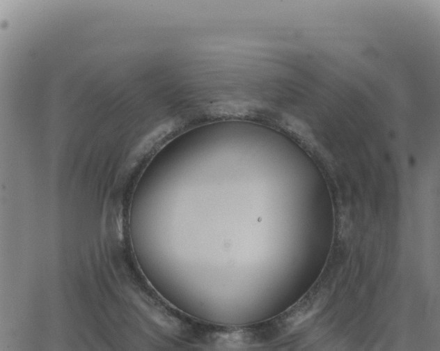 X0000062870068200601201805