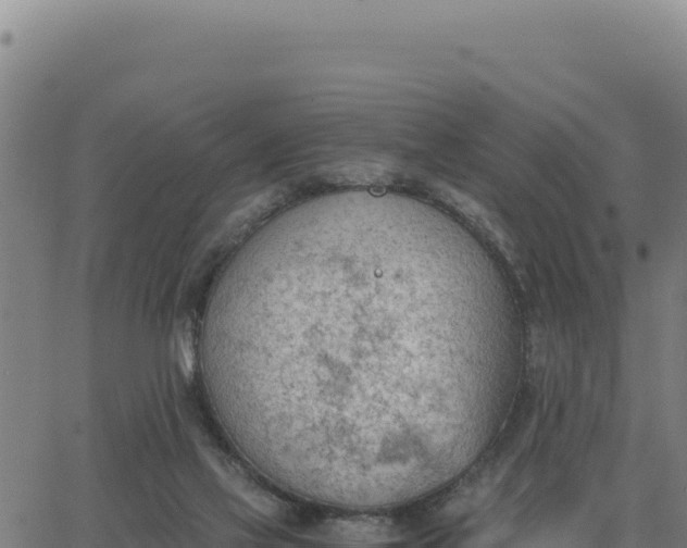 X0000062870069200601201805