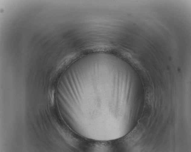 X0000062870070200601201805