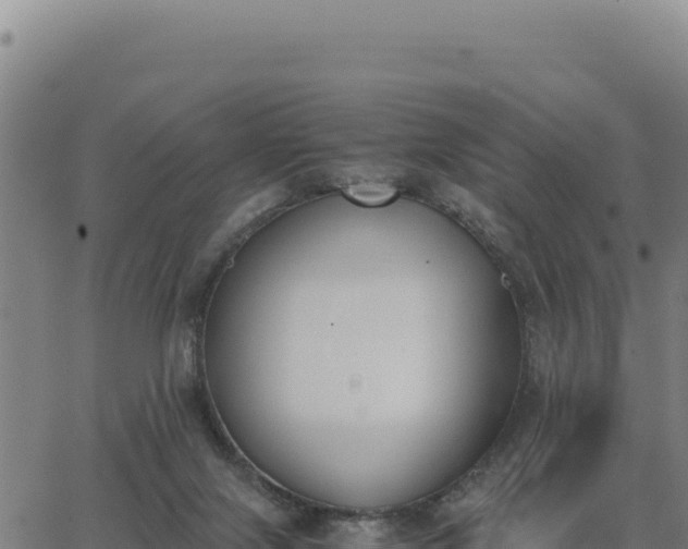 X0000062870071200601201805