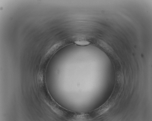 X0000062870072200601201805