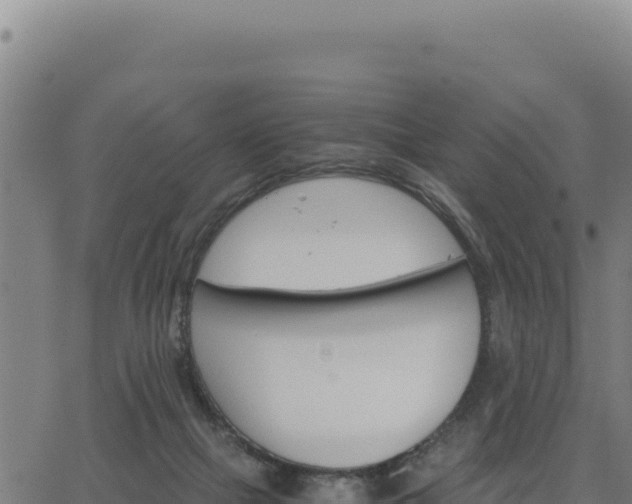 X0000062870073200601201805