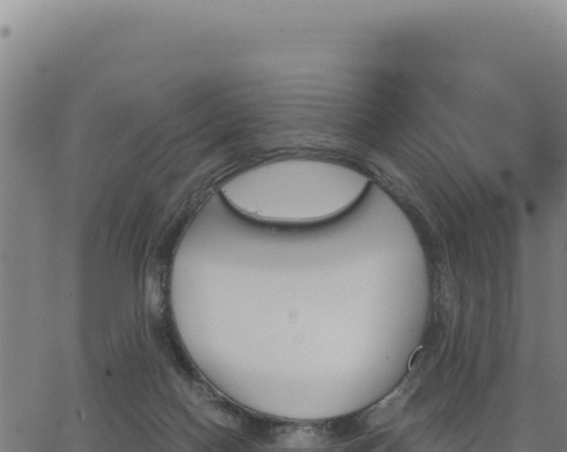 X0000062870074200601201805