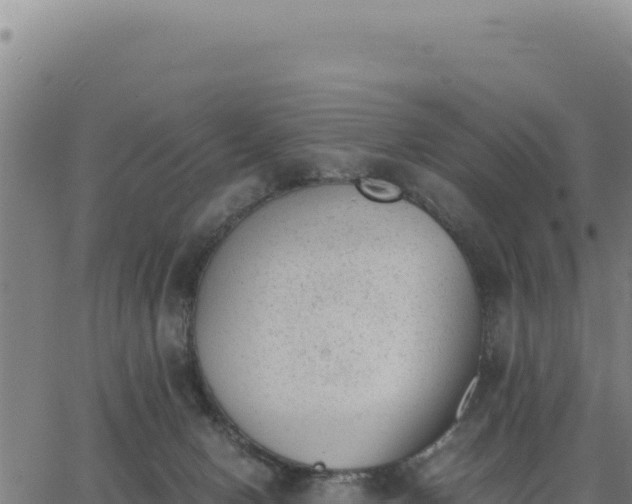 X0000062870078200601201805