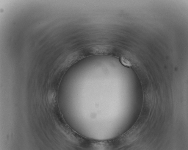 X0000062870079200601201805