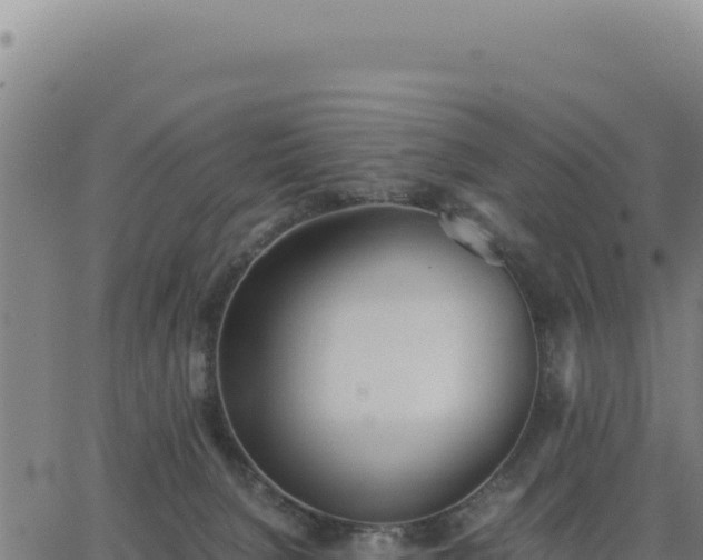 X0000062870080200601201805