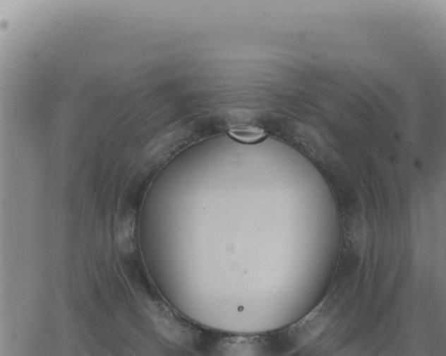 X0000062870082200601201805