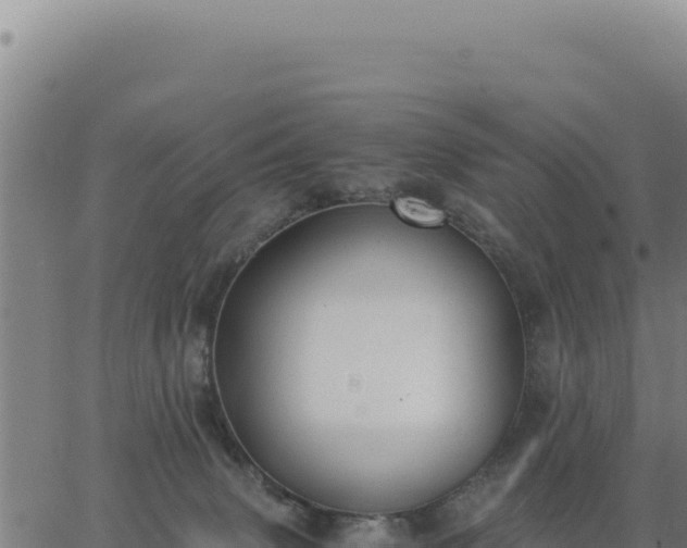 X0000062870083200601201805