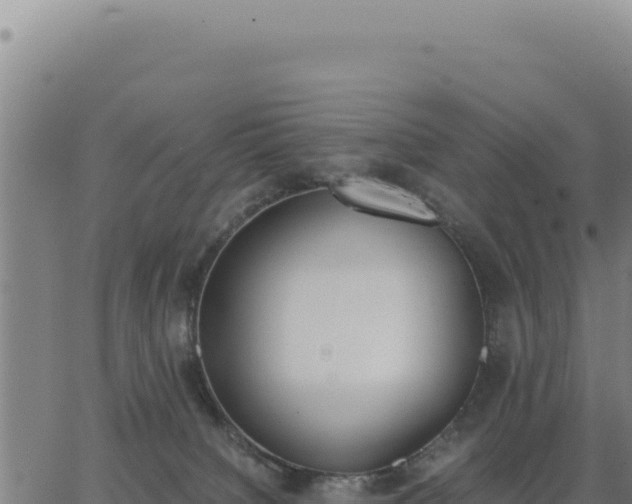 X0000062870084200601201805