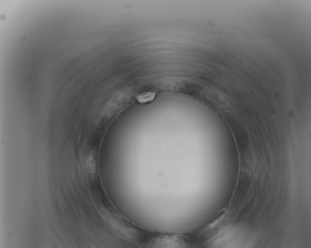 X0000062870086200601201805