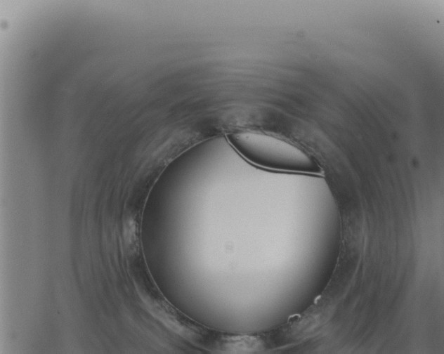 X0000062870087200601201805