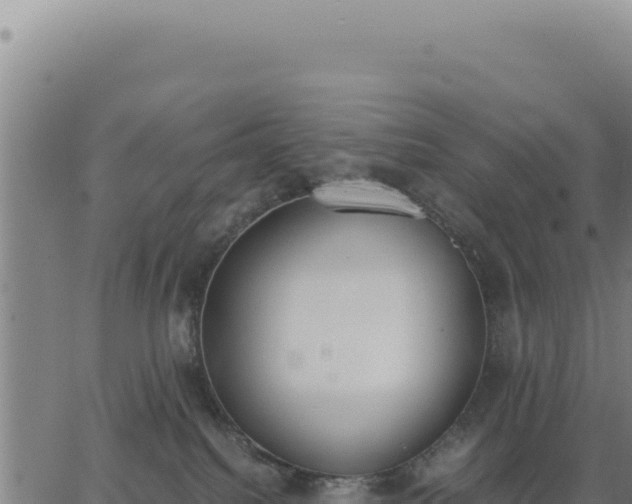 X0000062870088200601201805