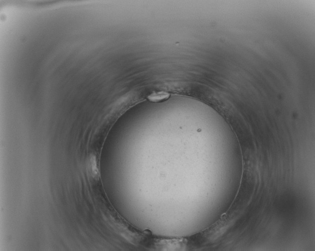 X0000062870089200601201805