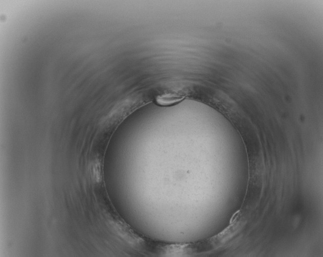 X0000062870090200601201805