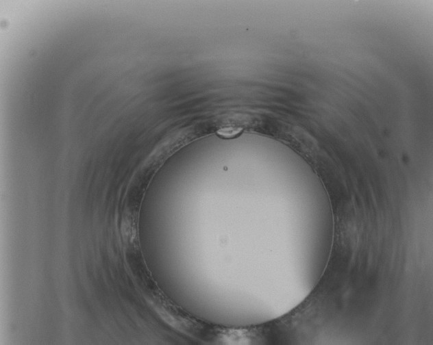 X0000062870091200601201805