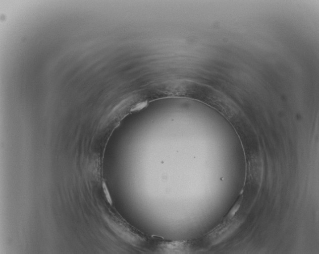 X0000062870092200601201805