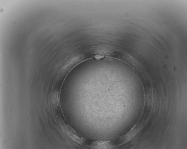 X0000062870093200601201805